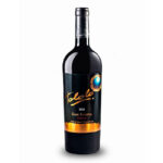VINO TOLOLO SYRAH GRAN RVA 750CC
