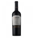 VINO VENTISQUERO QUEULAT GRAN RVA P-N 750CC